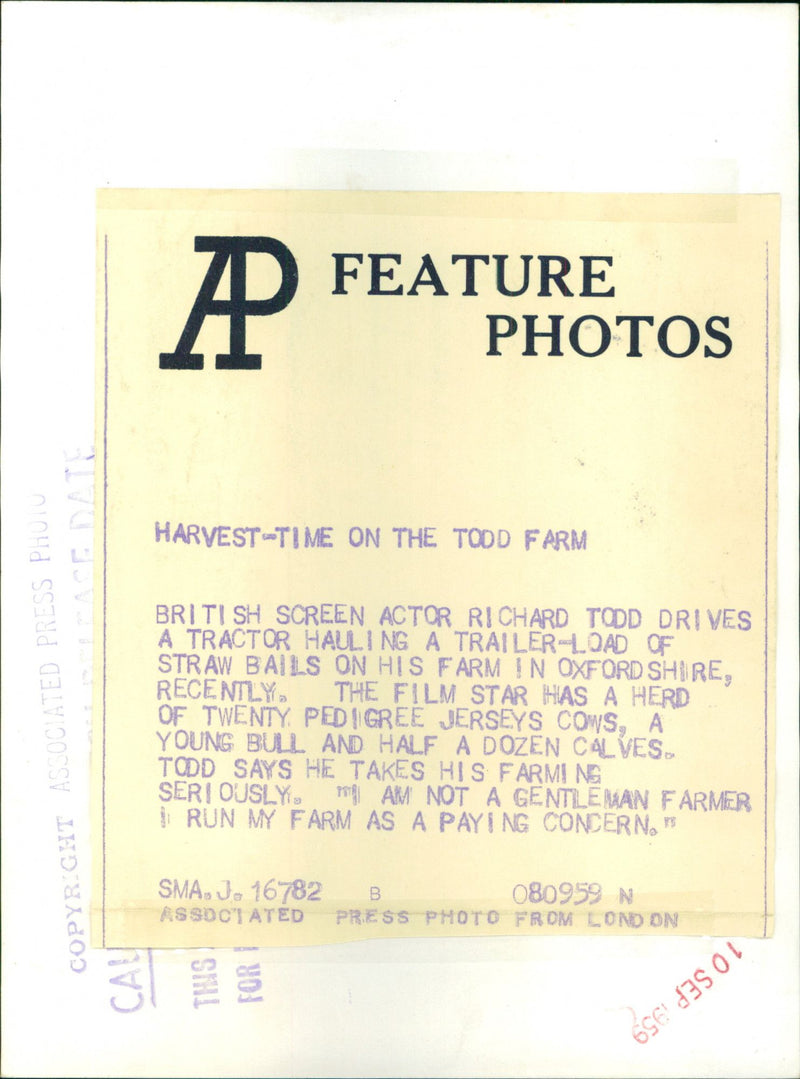 Richard Todd - Vintage Photograph