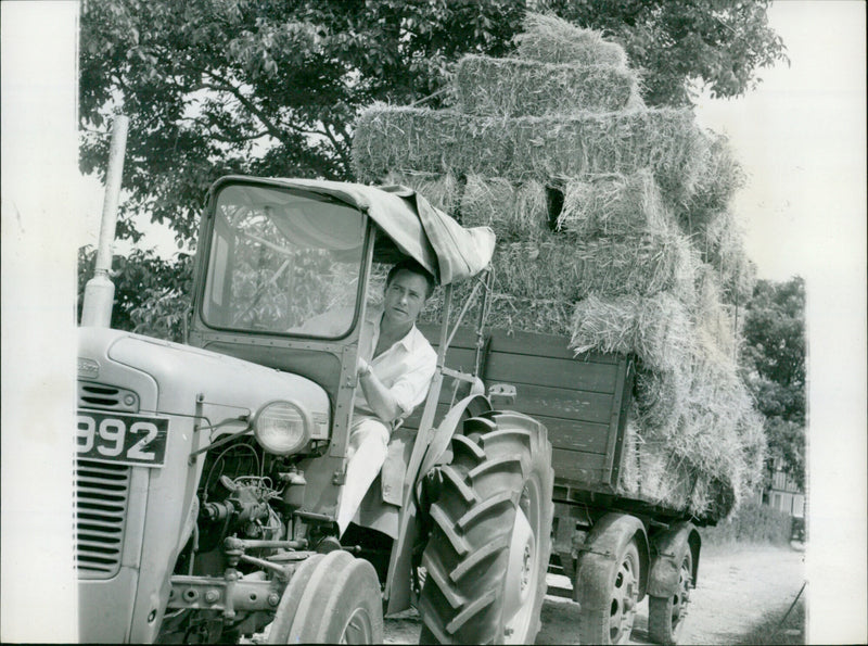 Richard Todd - Vintage Photograph