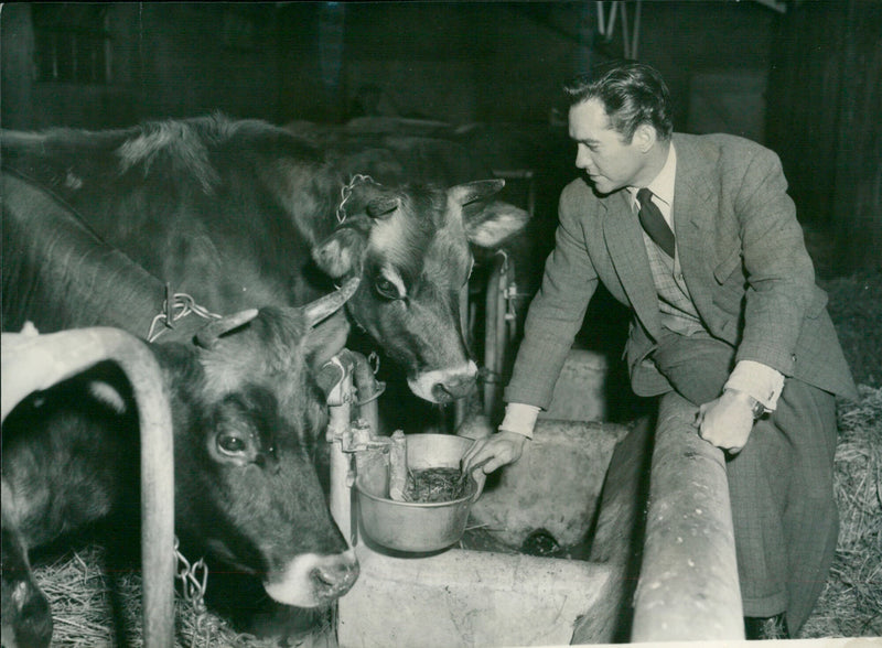 Richard Todd - Vintage Photograph