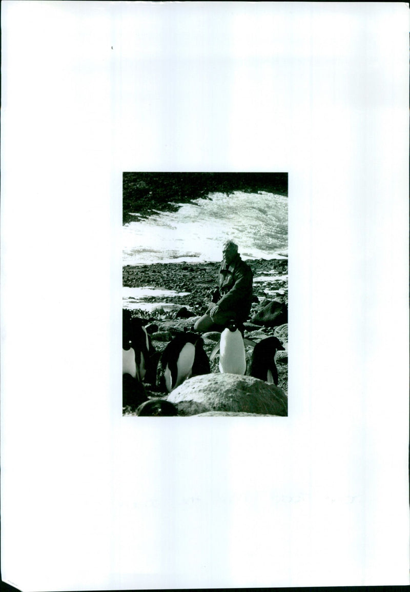 John Todd - Vintage Photograph