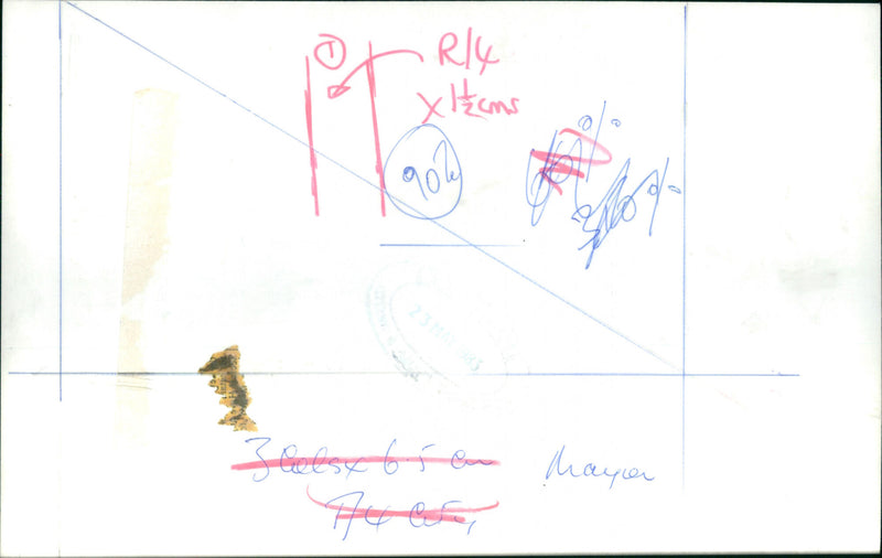 Janet Todd - Vintage Photograph