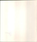 Diana, Princess of Wales - Vintage Photograph