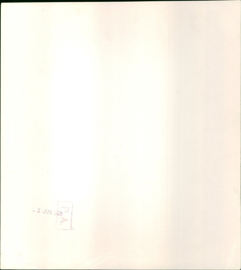 Diana, Princess of Wales - Vintage Photograph