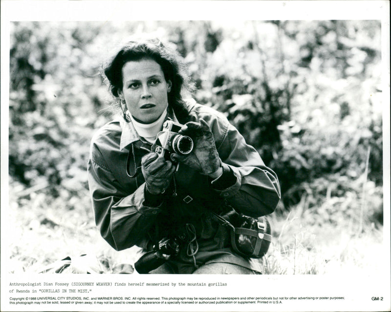 Sigourney Weaver - Vintage Photograph