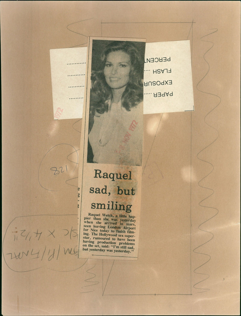 Raquel Welch - Vintage Photograph