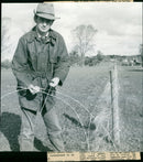 Robert Wallis - Vintage Photograph