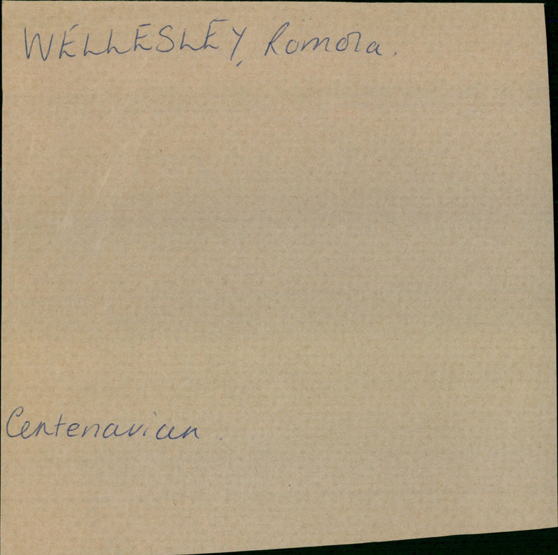 Wellesley Romola - Vintage Photograph