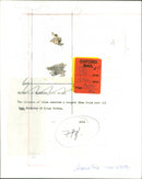 Diana, Princess of Wales - Vintage Photograph