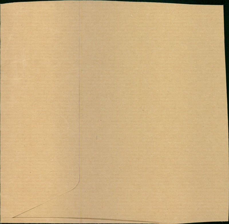 Welch Buz - Vintage Photograph