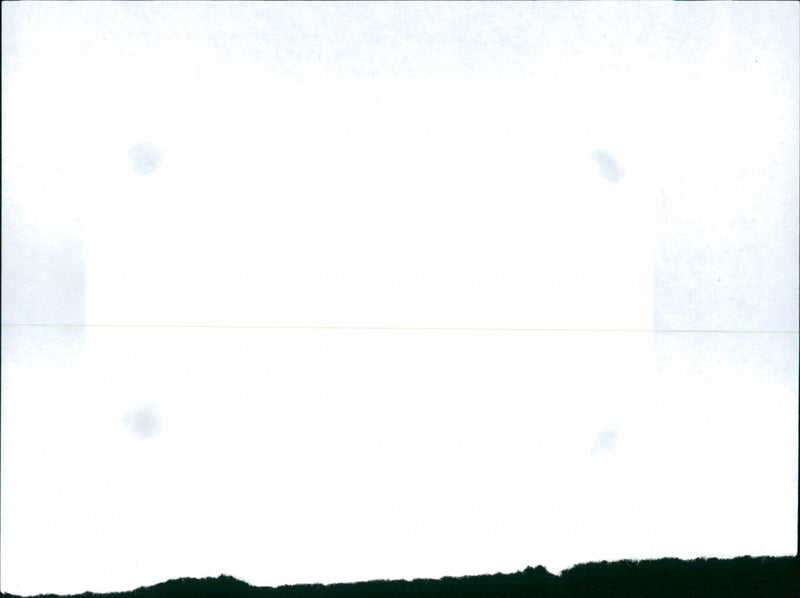 Tom Paulin, Elaine Pippard & Rod Walker - Vintage Photograph