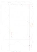 Princess of Wales - Vintage Photograph