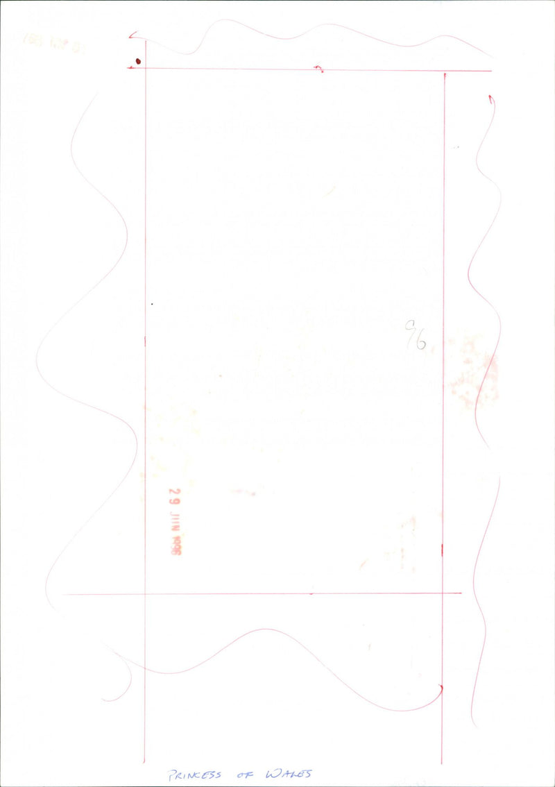 Princess of Wales - Vintage Photograph