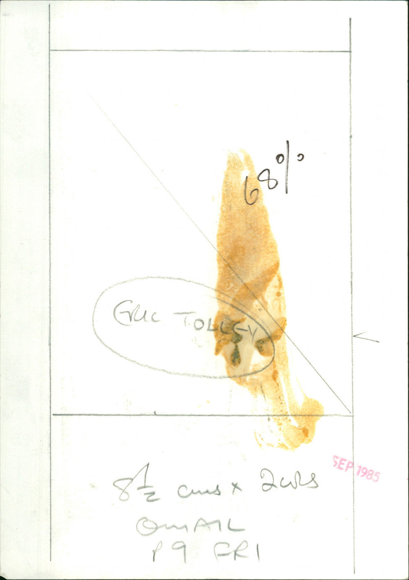 Eric Tolley - Vintage Photograph