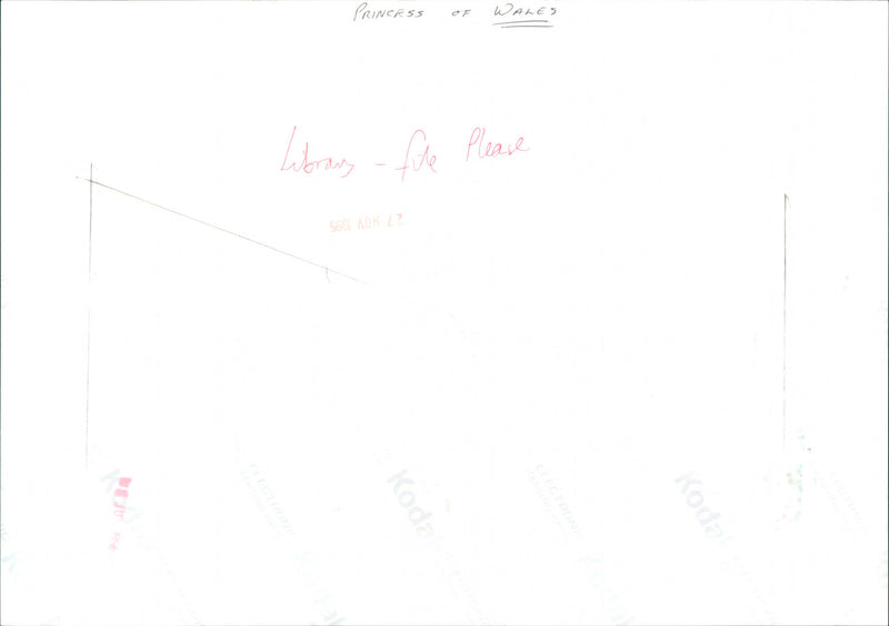 Princess of Wales - Vintage Photograph