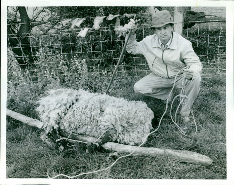 Robert Wallis - Vintage Photograph