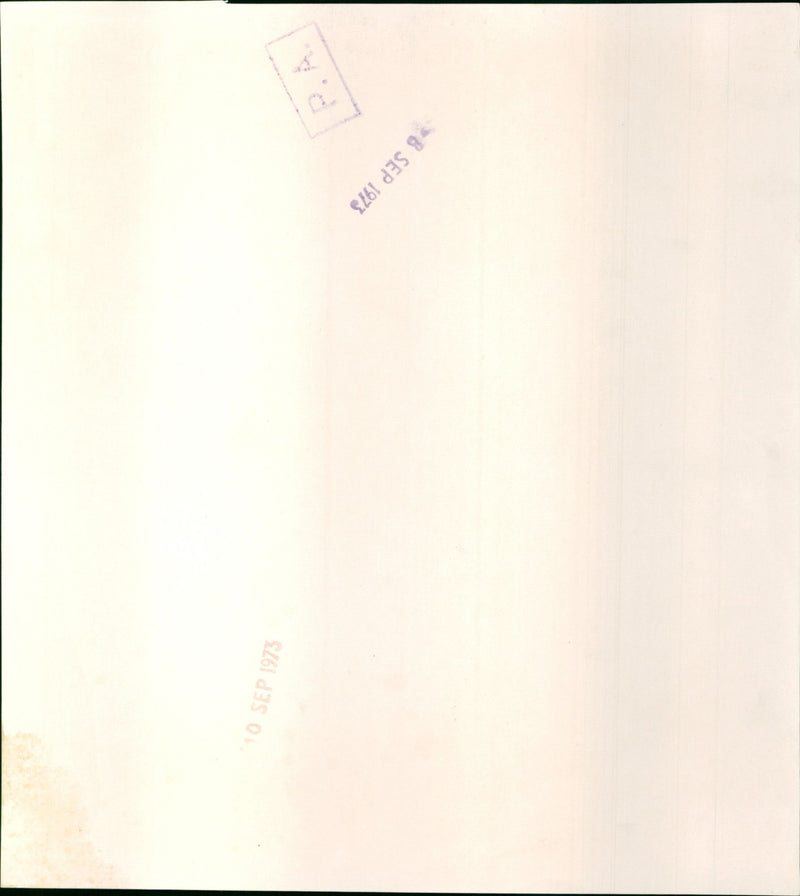 Tiny Tim - Vintage Photograph