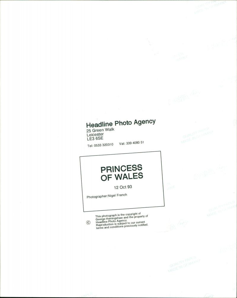 Princess of Wales - Vintage Photograph