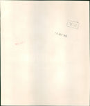 Evelyn Waugh - Vintage Photograph