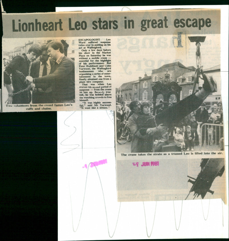 lionheart leo - Vintage Photograph