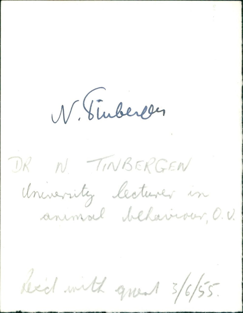 Dr. Niko Tinbergen - Vintage Photograph