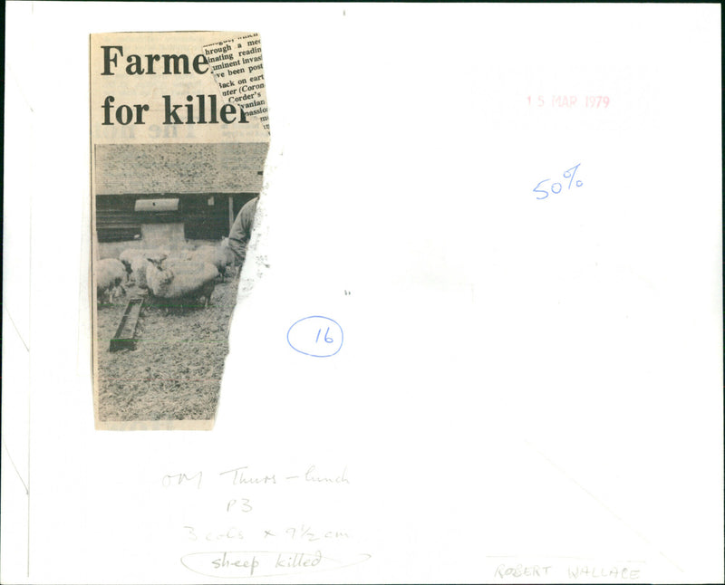 Robert Wallis - Vintage Photograph