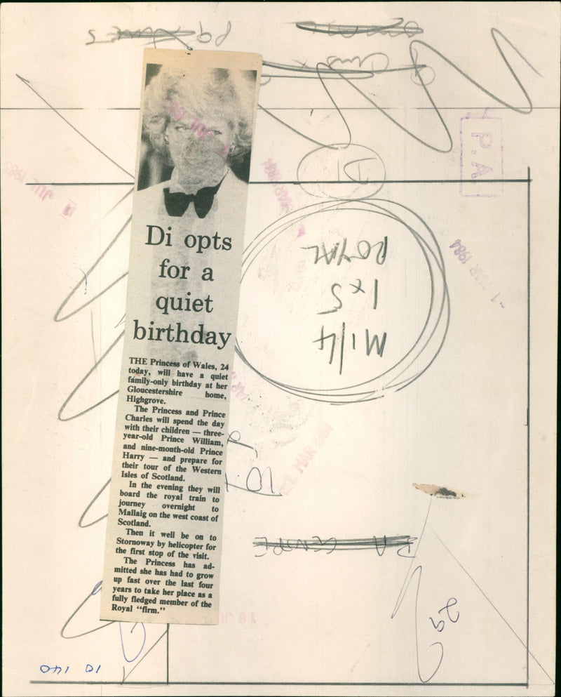 Diana, Princess of Wales - Vintage Photograph