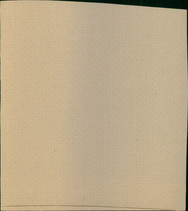 West Diana - Vintage Photograph