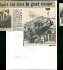 Lionheart Leo - Vintage Photograph