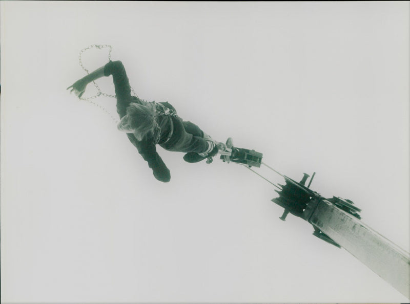 Lionheart Leo - Vintage Photograph