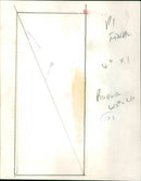 Raquel Welch - Vintage Photograph