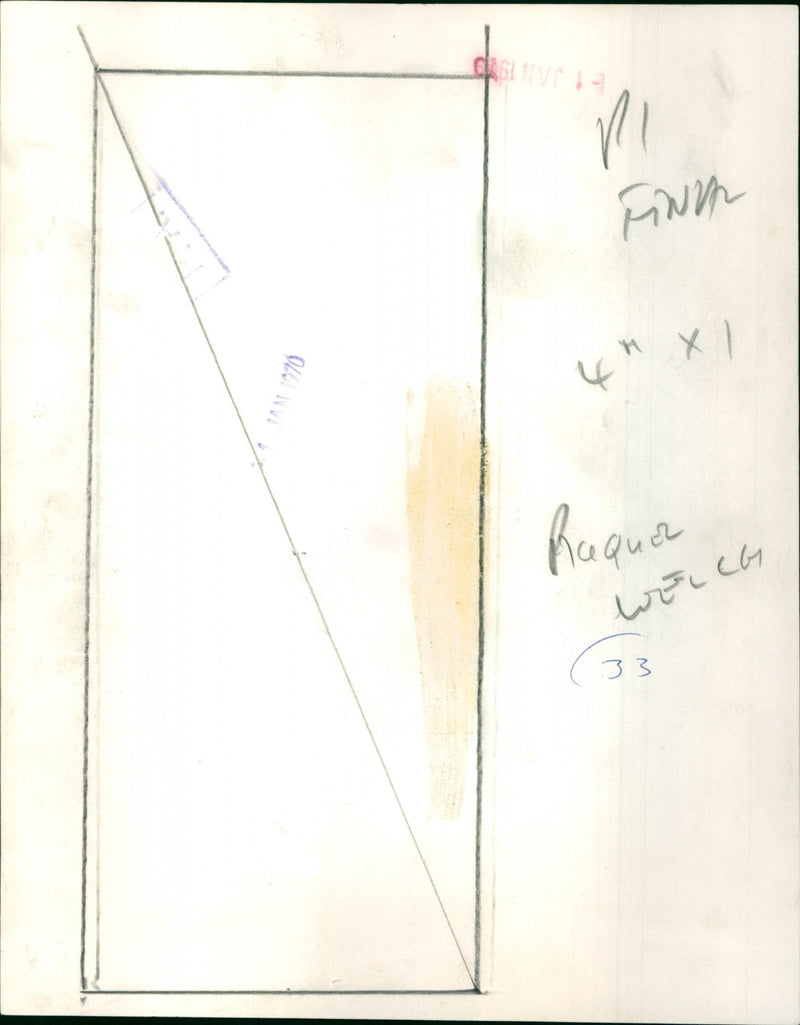 Raquel Welch - Vintage Photograph