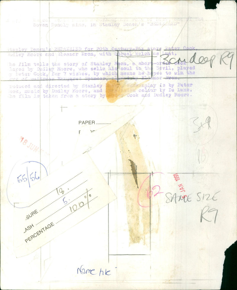 Raquel Welch - Vintage Photograph