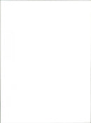 Walter Trout Band - Vintage Photograph