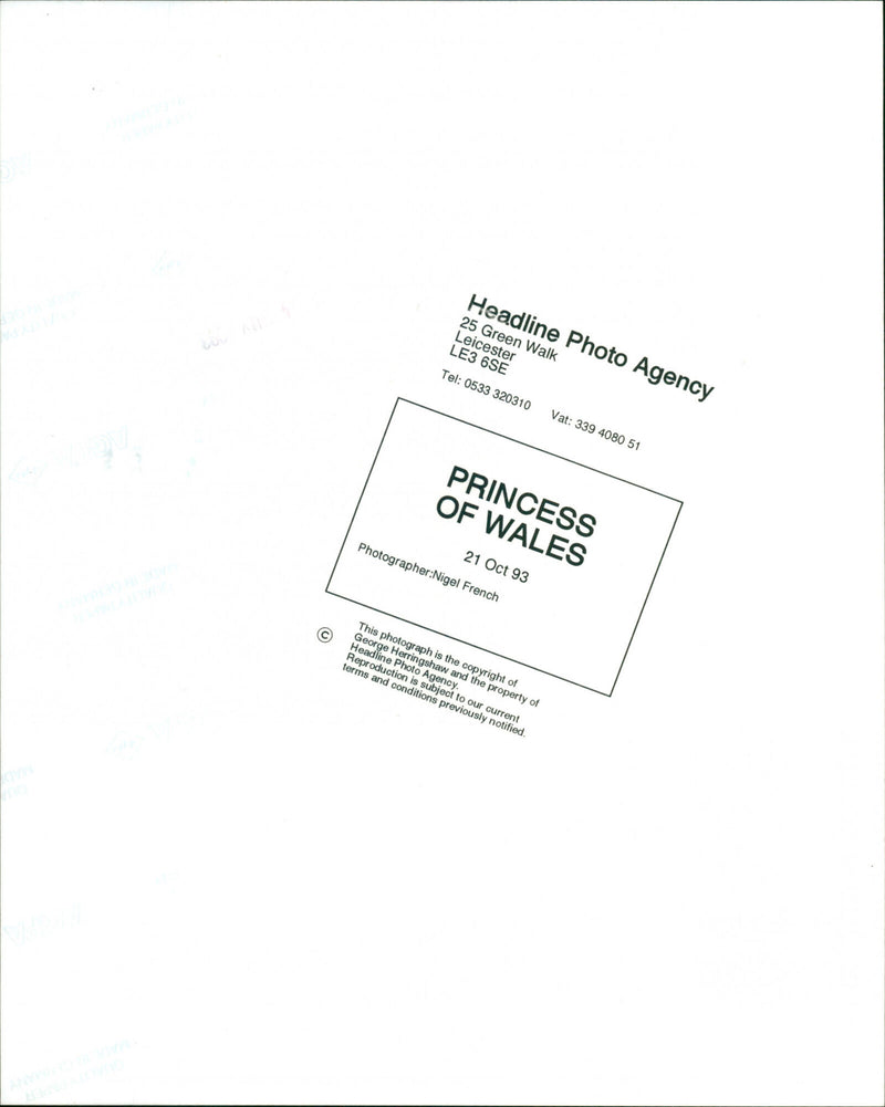 Diana, Princess of Wales - Vintage Photograph