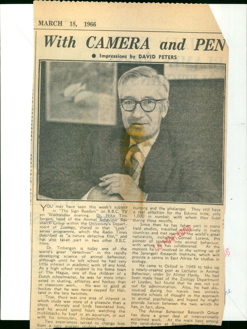 Dr. Niko Tinbergen - Vintage Photograph