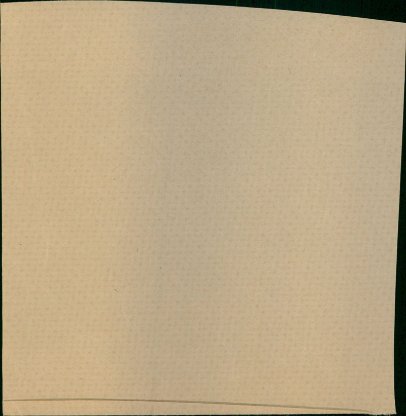 Wellesley Marion - Vintage Photograph