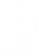 Andy Parr, Mark Scanes, Danny stevens - Vintage Photograph