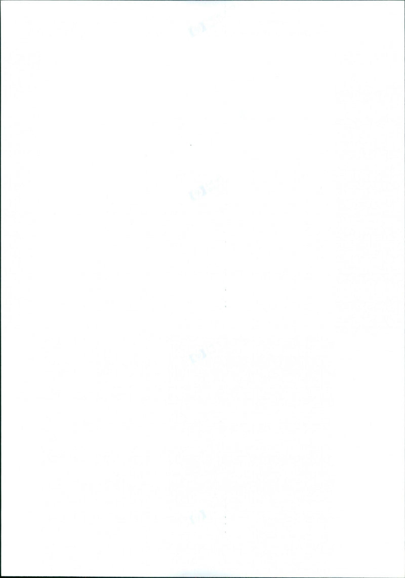 Andy Parr, Mark Scanes, Danny stevens - Vintage Photograph