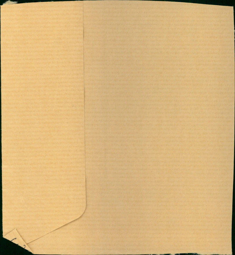 Webster Janie - Vintage Photograph