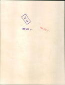 Twiggy - Vintage Photograph