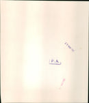 Lady Diana Spencer - Vintage Photograph