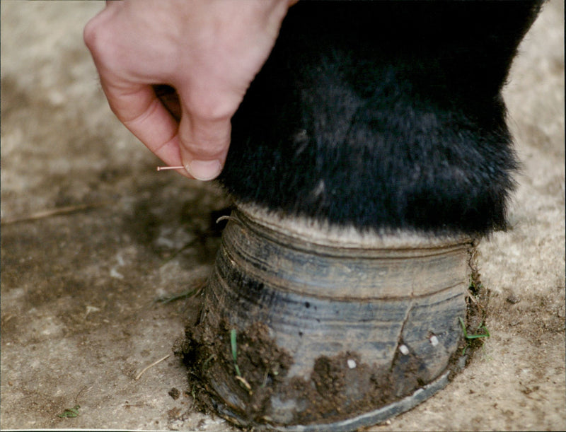 Jimmy Symmonds - Vintage Photograph