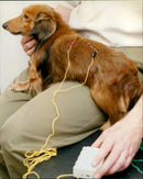 Jimmy Symmonds - Vintage Photograph