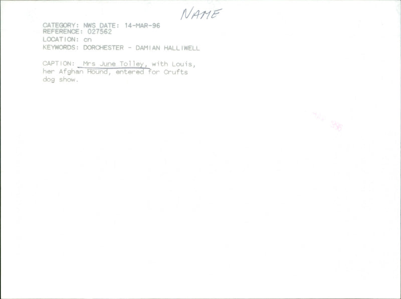 June Tolley - Vintage Photograph