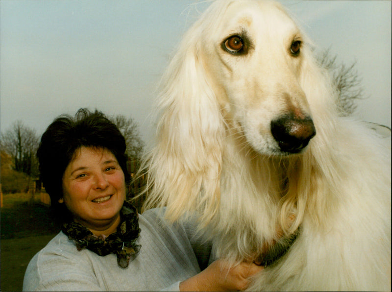 June Tolley - Vintage Photograph