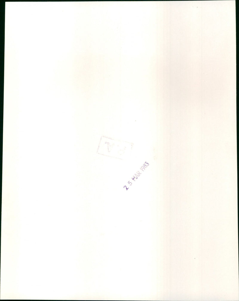 Sweet Dreams - Vintage Photograph