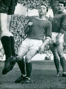 Nobby Stiles - Vintage Photograph