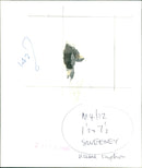 Peter Sweeney - Vintage Photograph