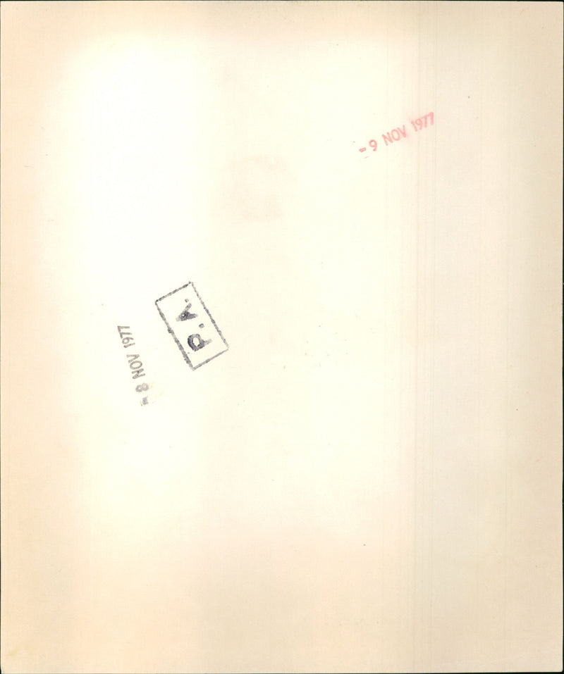 Raquel Welch - Vintage Photograph