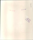 Raquel Welch - Vintage Photograph